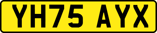 YH75AYX