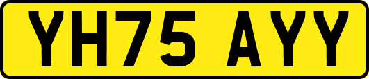 YH75AYY