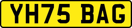 YH75BAG