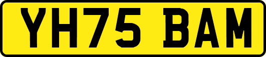 YH75BAM