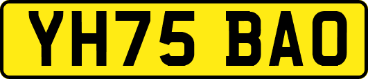 YH75BAO