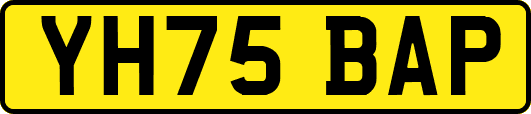 YH75BAP