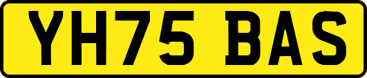 YH75BAS