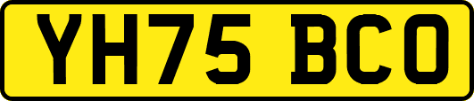 YH75BCO