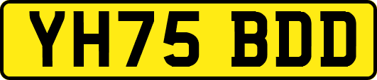 YH75BDD