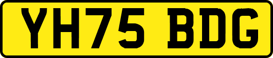 YH75BDG