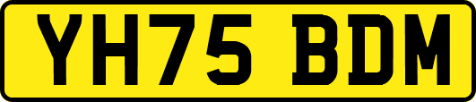 YH75BDM