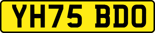 YH75BDO