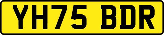 YH75BDR