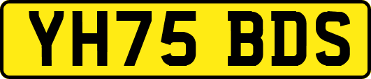 YH75BDS