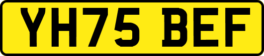 YH75BEF