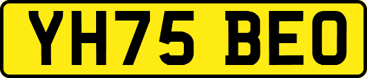 YH75BEO