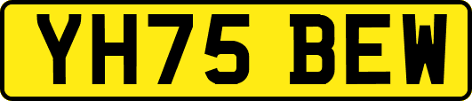 YH75BEW