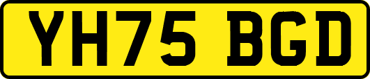 YH75BGD