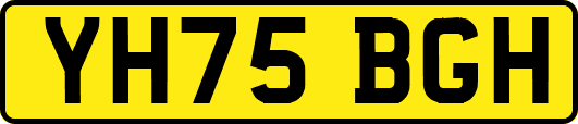 YH75BGH