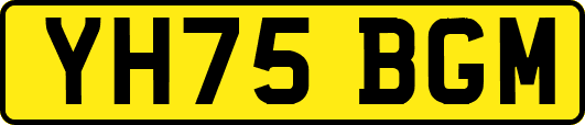 YH75BGM