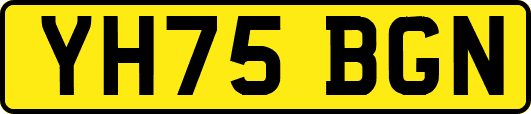 YH75BGN