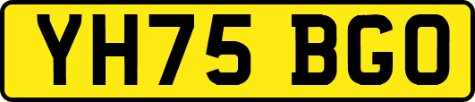 YH75BGO