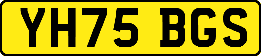 YH75BGS