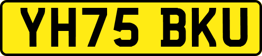 YH75BKU