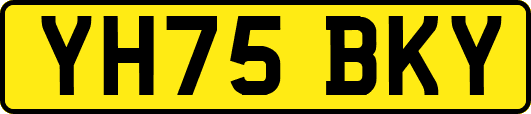 YH75BKY