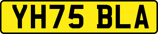 YH75BLA