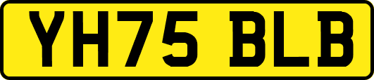 YH75BLB