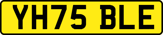 YH75BLE