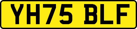 YH75BLF