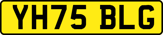 YH75BLG
