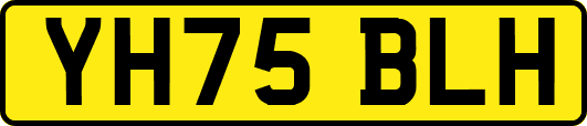 YH75BLH