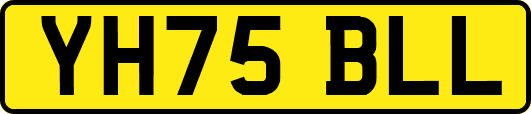 YH75BLL