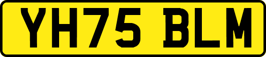 YH75BLM