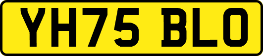 YH75BLO