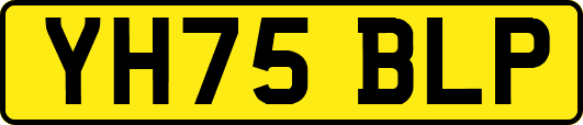 YH75BLP