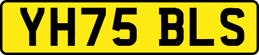 YH75BLS