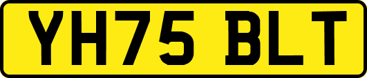 YH75BLT
