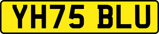 YH75BLU