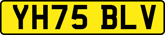 YH75BLV