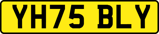 YH75BLY