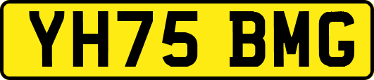 YH75BMG