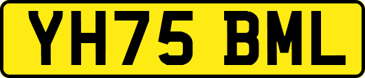 YH75BML