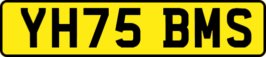 YH75BMS