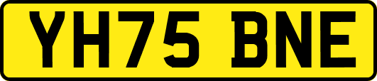 YH75BNE