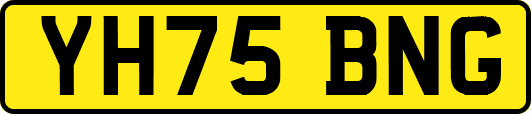 YH75BNG