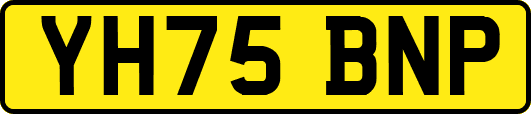 YH75BNP