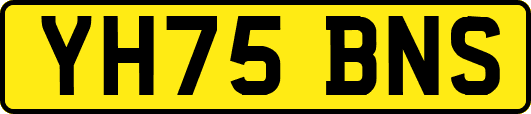 YH75BNS