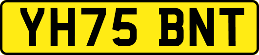 YH75BNT