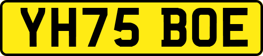 YH75BOE