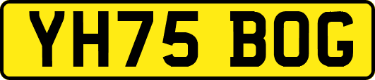 YH75BOG